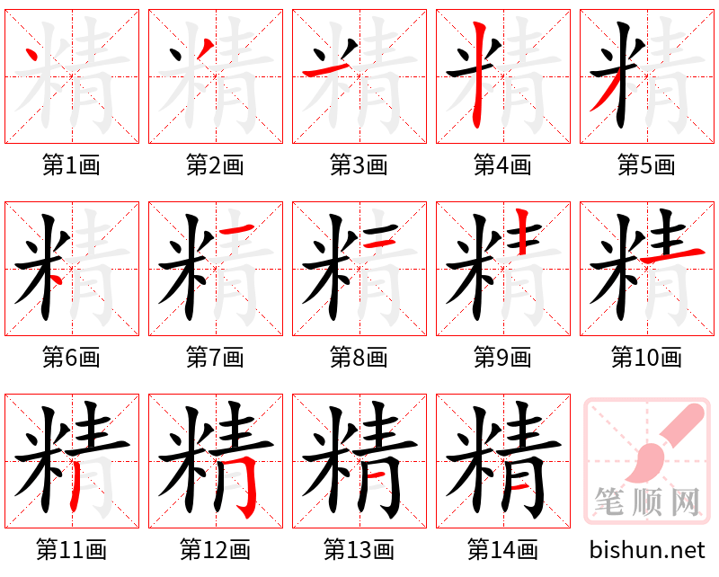 精 笔顺规范