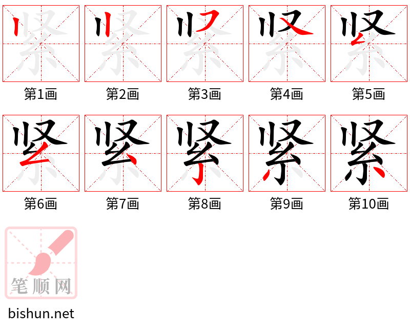 紧 笔顺规范