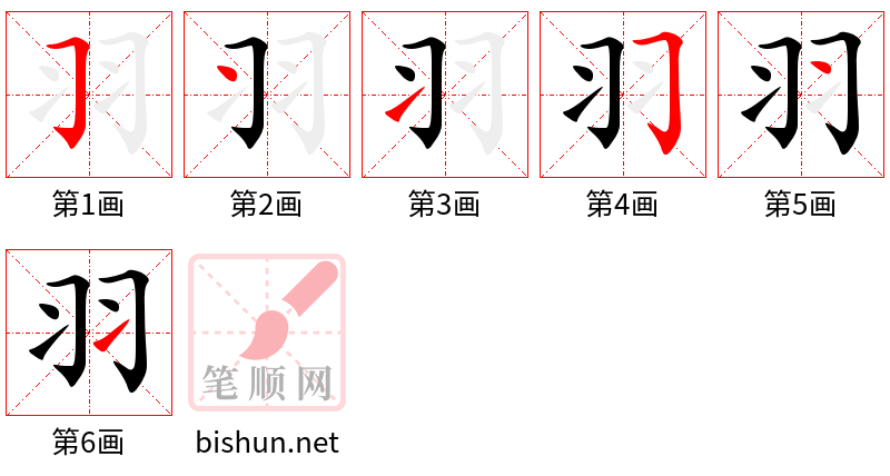 羽 笔顺规范