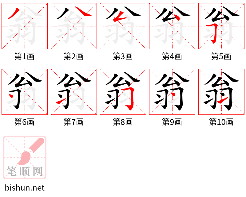 翁 笔顺规范