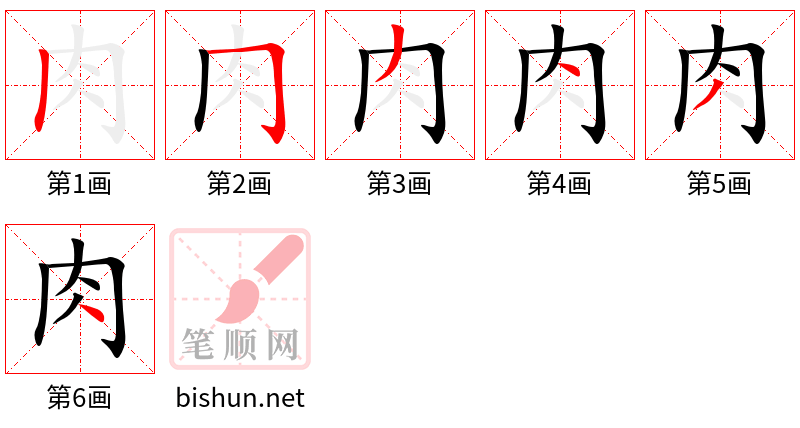 肉 笔顺规范