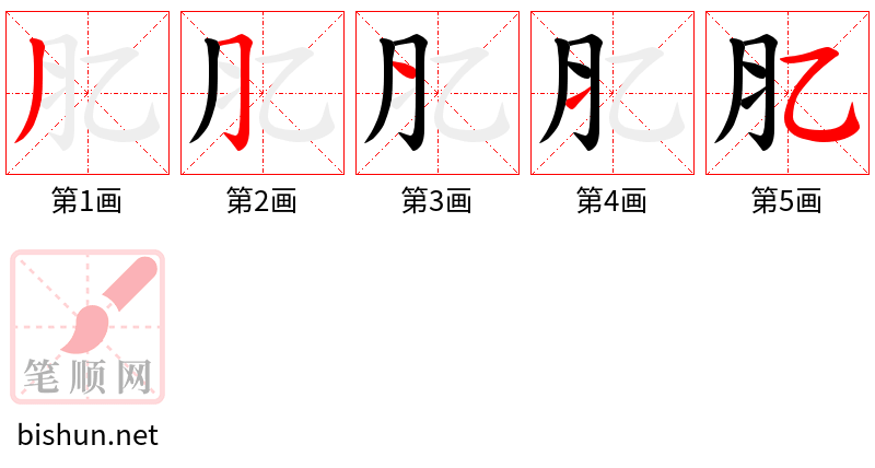 肊 笔顺规范