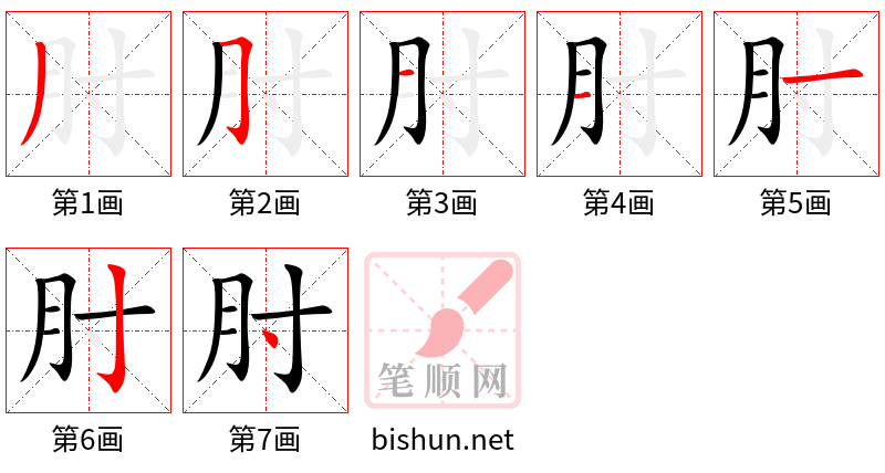 肘 笔顺规范