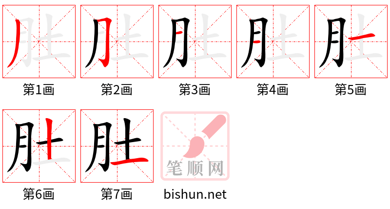 肚 笔顺规范