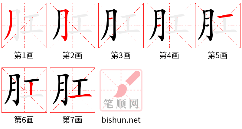 肛 笔顺规范