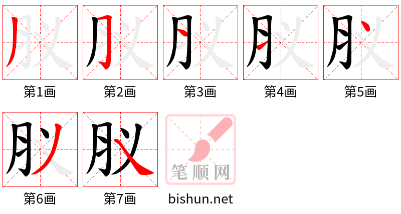 肞 笔顺规范