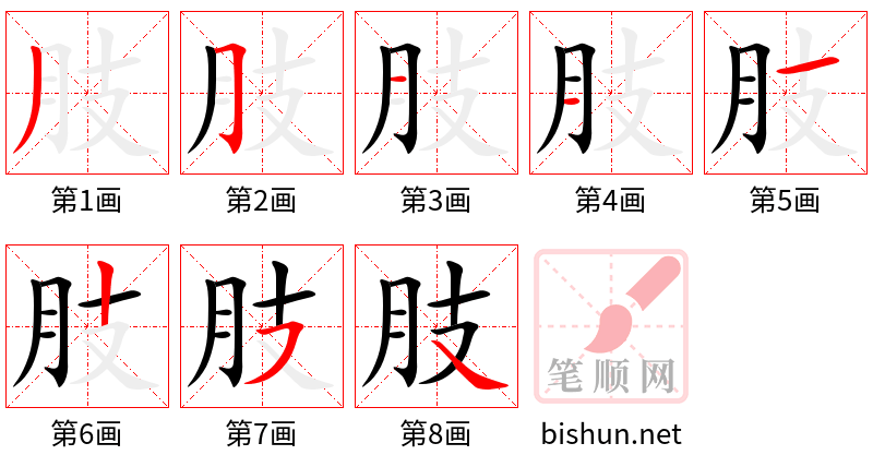 肢 笔顺规范