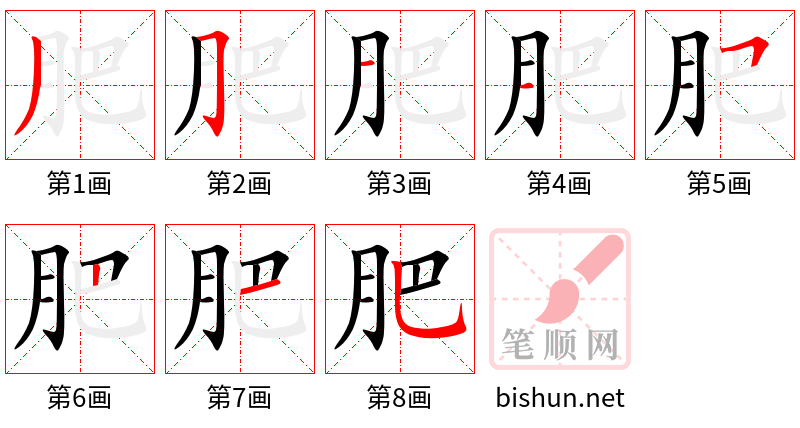 肥 笔顺规范