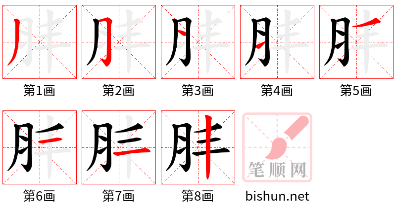 肨 笔顺规范