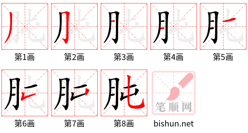 肫 笔顺规范