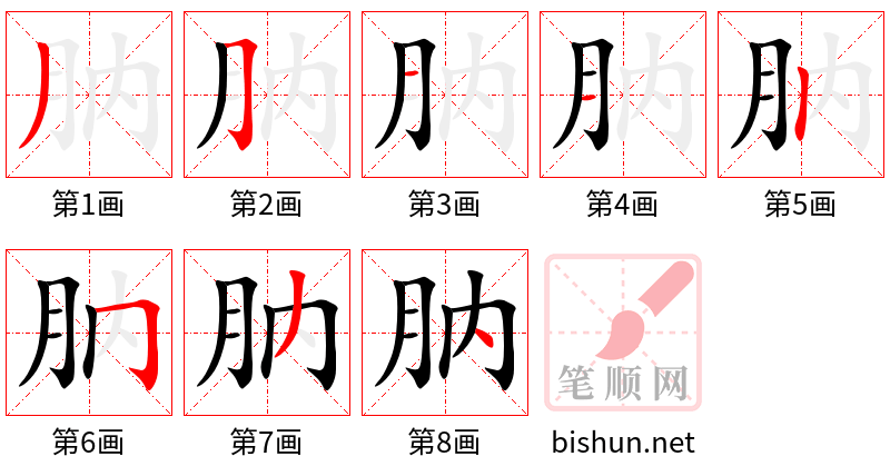 肭 笔顺规范