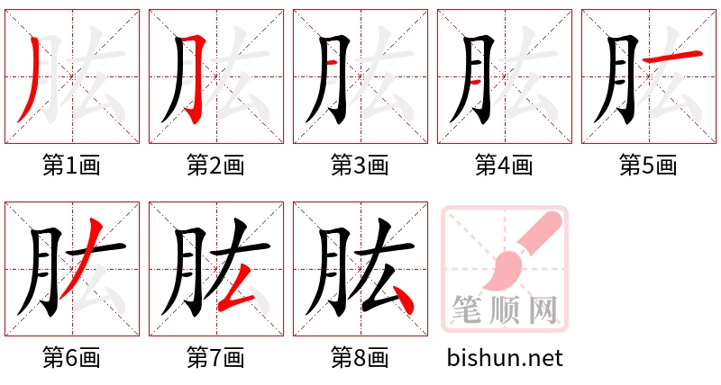 肱 笔顺规范