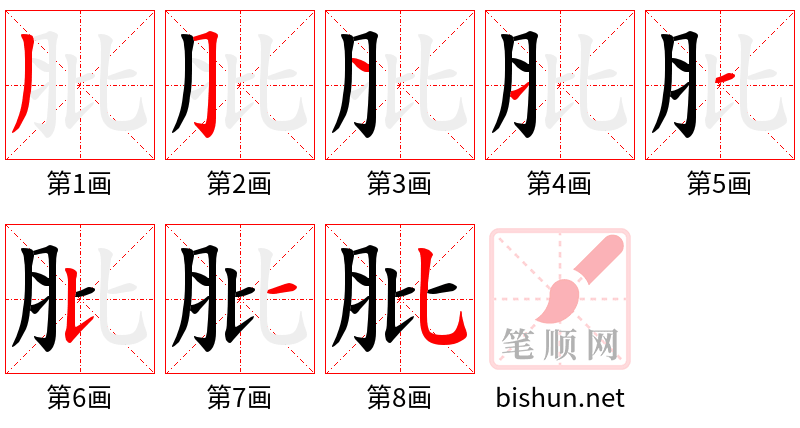 肶 笔顺规范