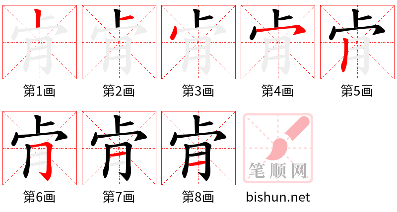 肻 笔顺规范