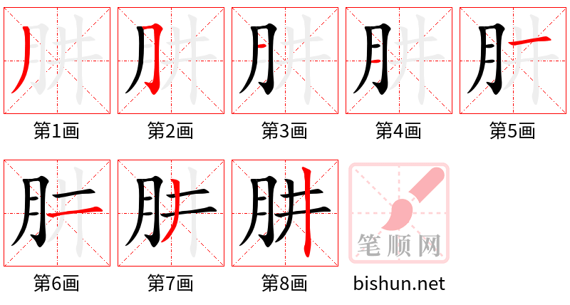 肼 笔顺规范