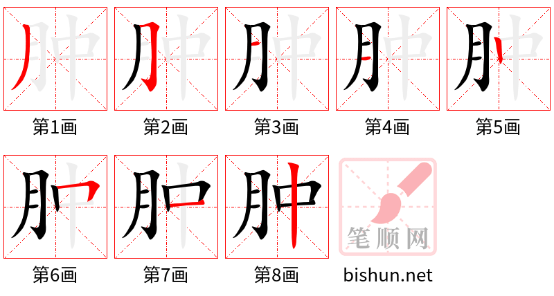 肿 笔顺规范