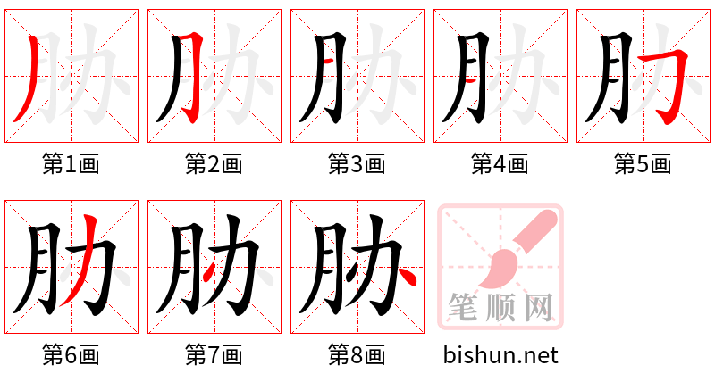 胁 笔顺规范