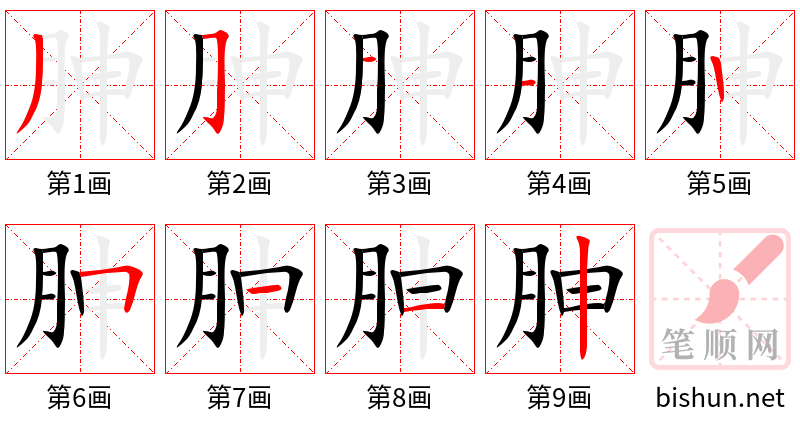 胂 笔顺规范