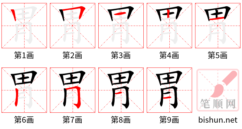 胃 笔顺规范