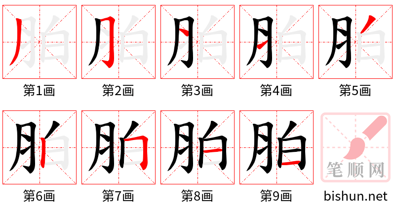 胉 笔顺规范