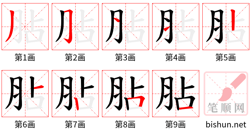 胋 笔顺规范