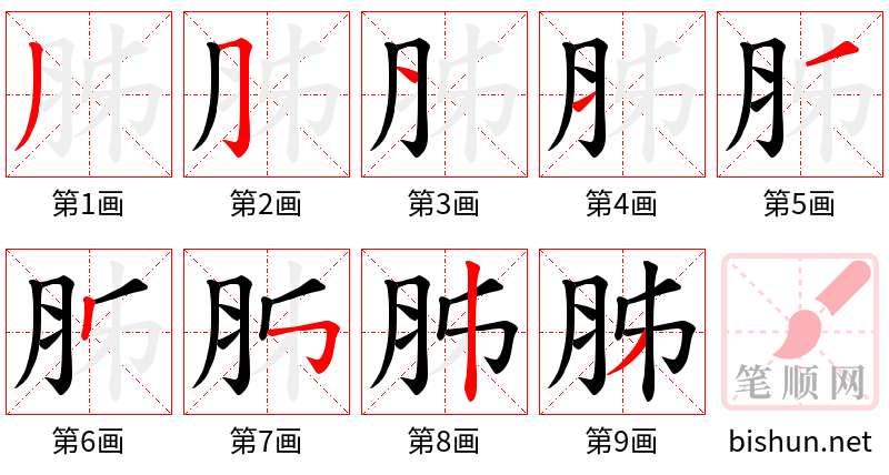 胏 笔顺规范