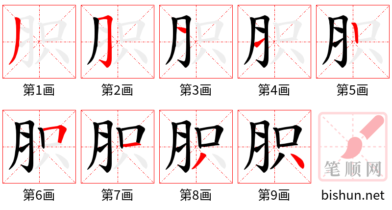 胑 笔顺规范