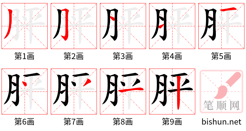 胓 笔顺规范