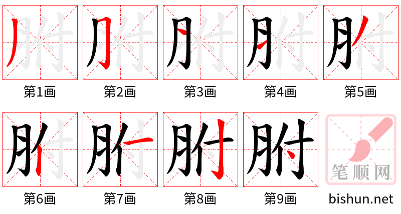 胕 笔顺规范