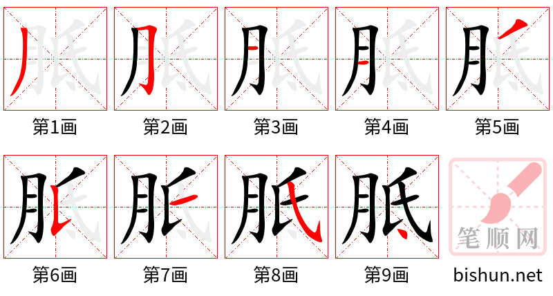 胝 笔顺规范