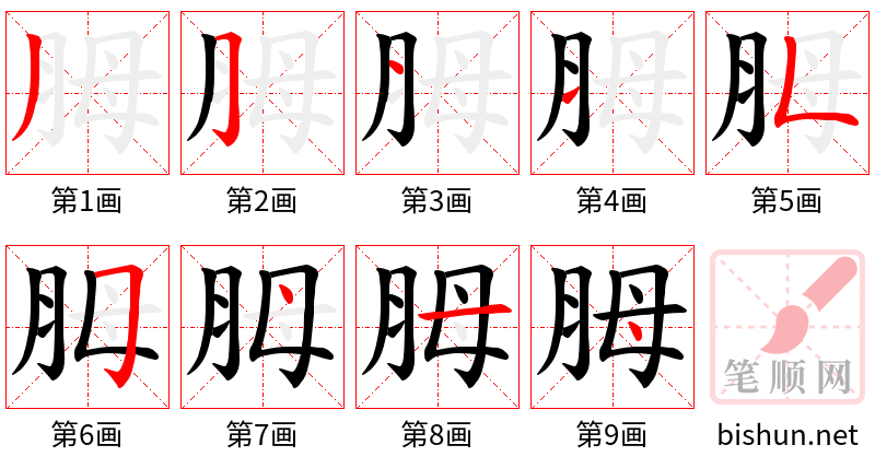 胟 笔顺规范