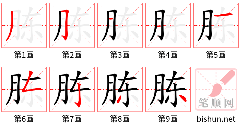 胨 笔顺规范