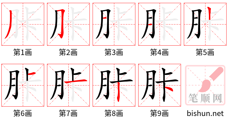 胩 笔顺规范