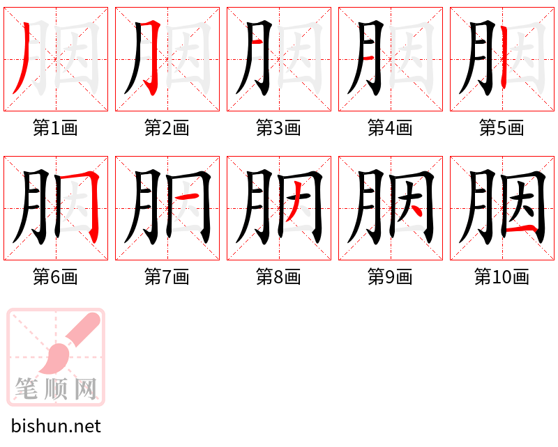 胭 笔顺规范