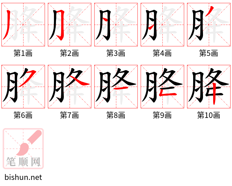 胮 笔顺规范