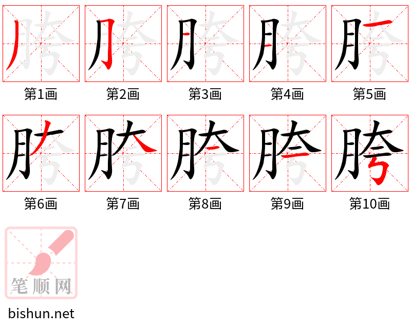 胯 笔顺规范