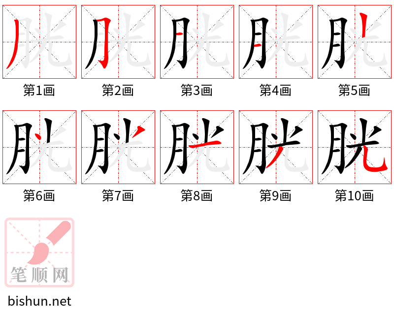 胱 笔顺规范