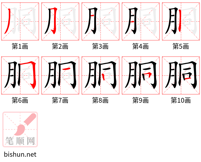 胴 笔顺规范