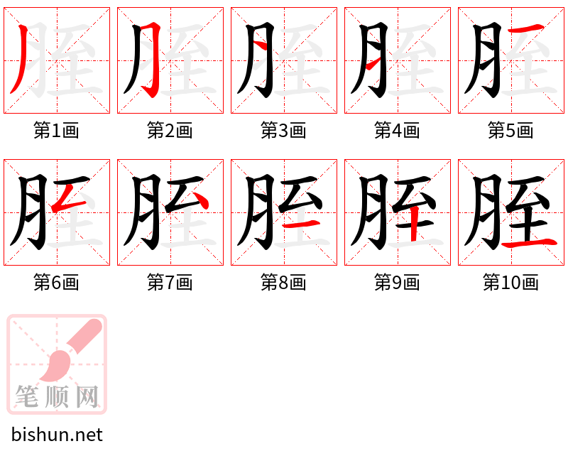 胵 笔顺规范