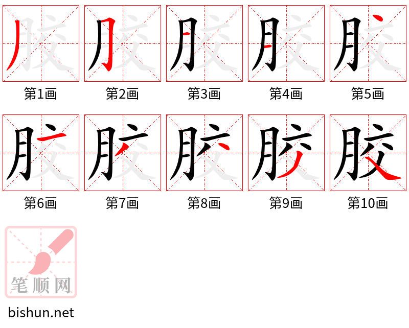 胶 笔顺规范