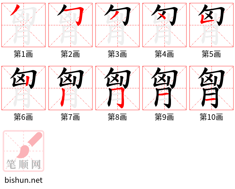 胷 笔顺规范