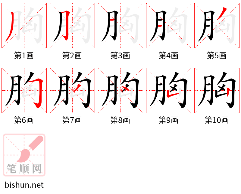 胸 笔顺规范