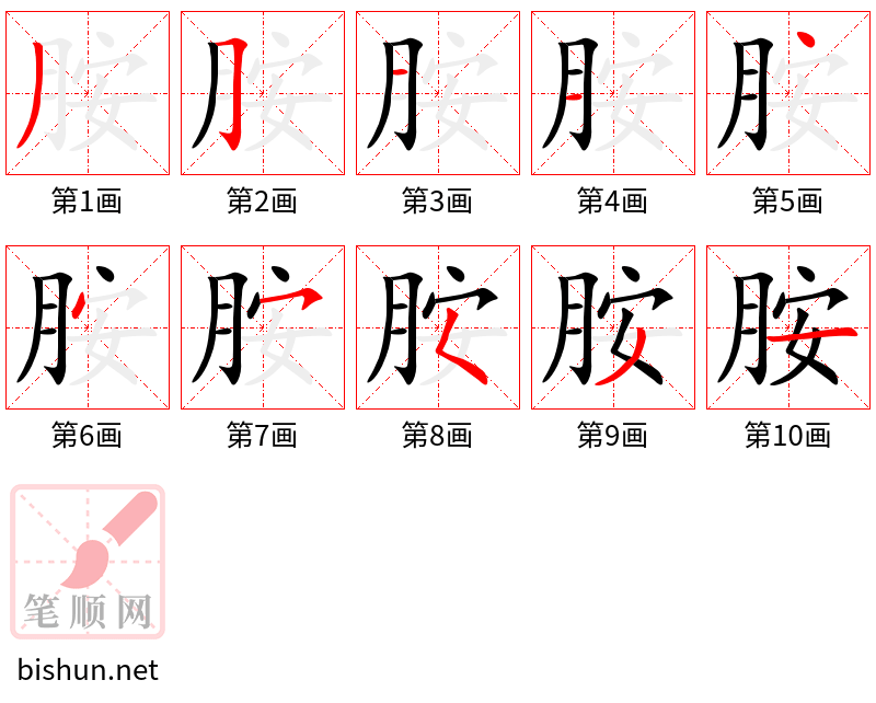 胺 笔顺规范