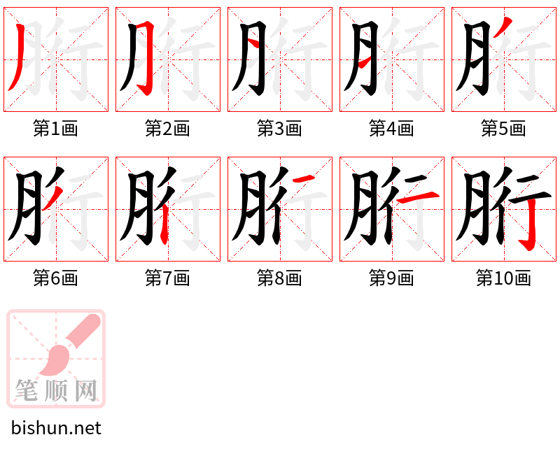 胻 笔顺规范