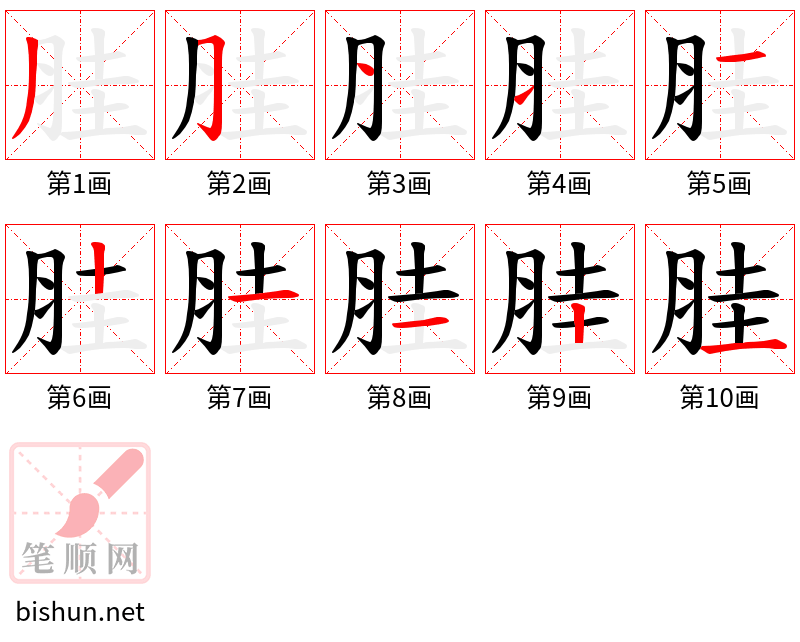 胿 笔顺规范