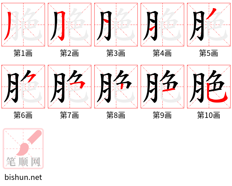 脃 笔顺规范