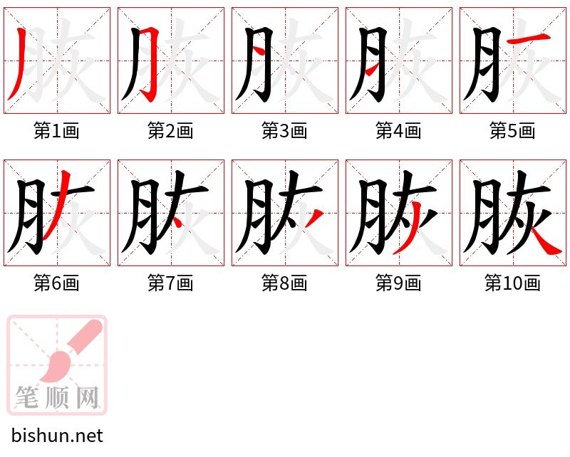 脄 笔顺规范