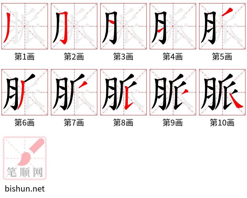 脈 笔顺规范