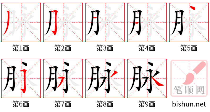 脉 笔顺规范