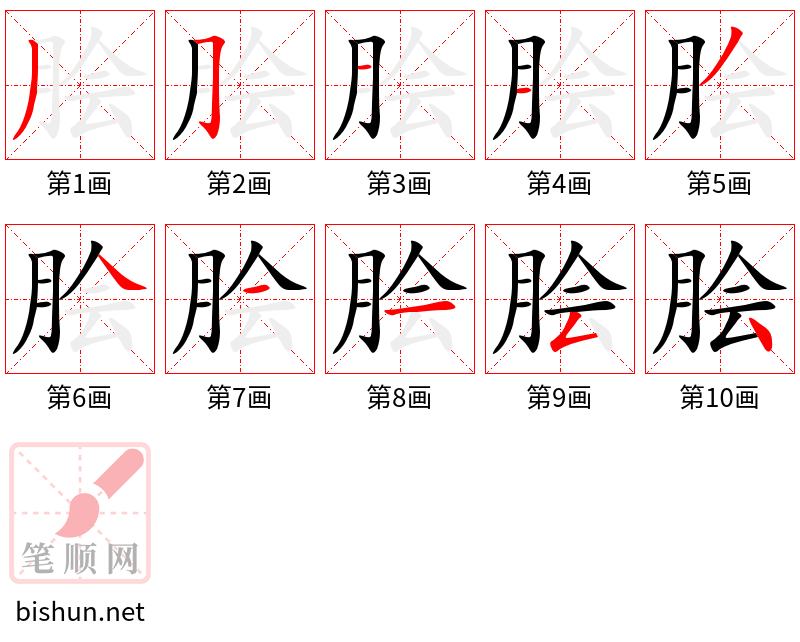 脍 笔顺规范